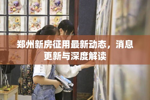 郑州新房征用最新动态，消息更新与深度解读