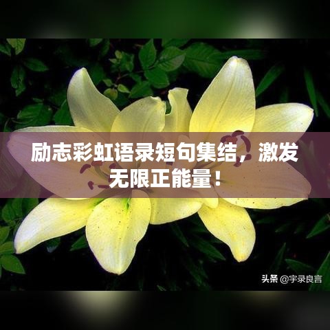 励志彩虹语录短句集结，激发无限正能量！