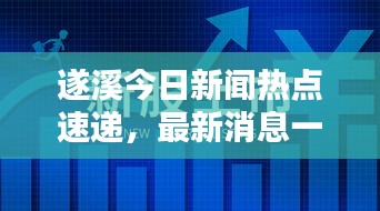 遂溪今日新闻热点速递，最新消息一览
