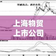 上海物贸上市公司排名揭晓，行业巨头实力与影响力大比拼
