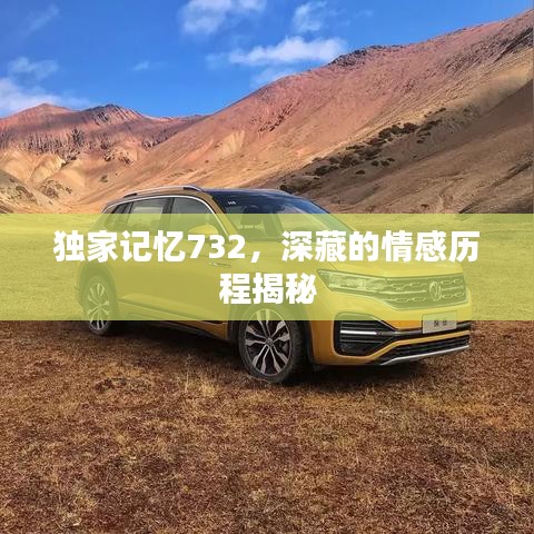 独家记忆732，深藏的情感历程揭秘