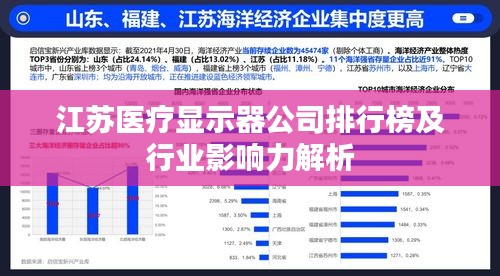 江苏医疗显示器公司排行榜及行业影响力解析