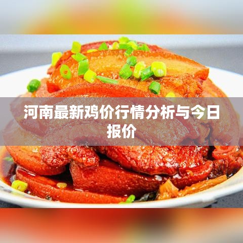 河南最新鸡价行情分析与今日报价