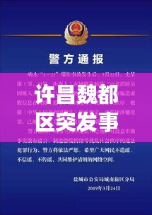 许昌魏都区突发事件处置与应对策略揭秘