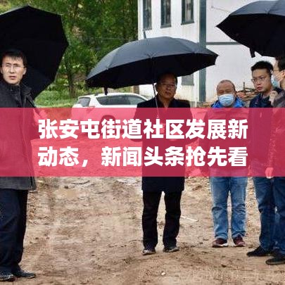 张安屯街道社区发展新动态，新闻头条抢先看