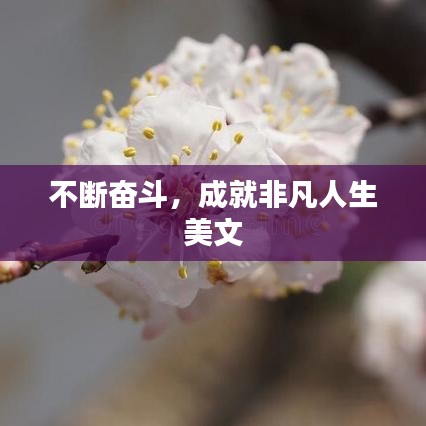 不断奋斗，成就非凡人生美文