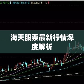 海天股票最新行情深度解析