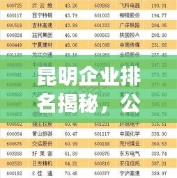 昆明企业排名揭秘，公司影响力大盘点