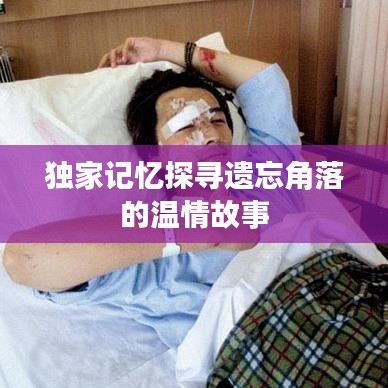 独家记忆探寻遗忘角落的温情故事