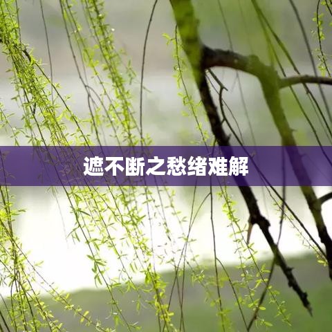 遮不断之愁绪难解