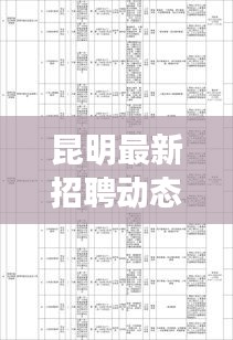 昆明最新招聘动态更新速递
