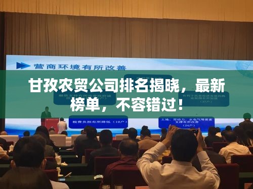 不畏权贵