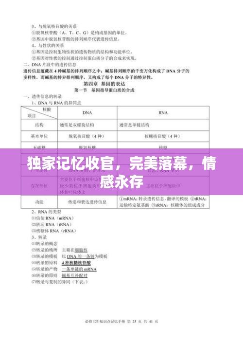 独家记忆收官，完美落幕，情感永存