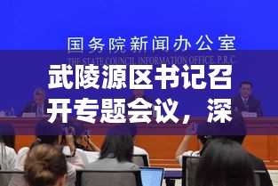 武陵源区书记召开专题会议，深化策略推动区域繁荣新篇章