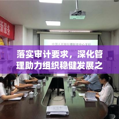 落实审计要求，深化管理助力组织稳健发展之路
