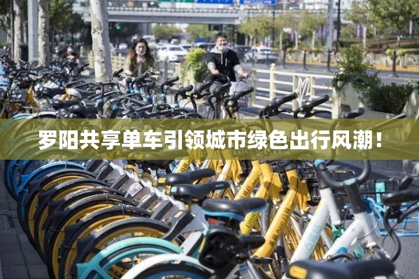 罗阳共享单车引领城市绿色出行风潮！