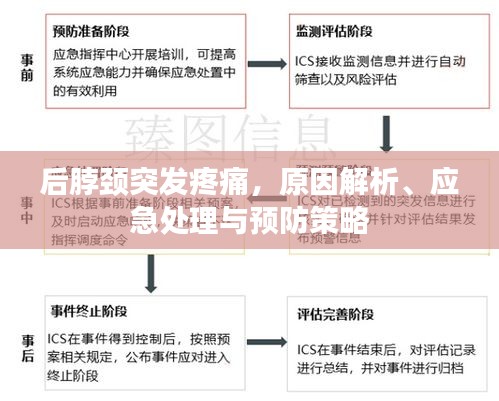 后脖颈突发疼痛，原因解析、应急处理与预防策略