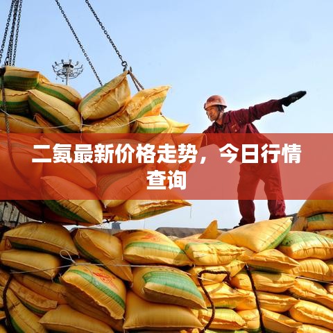 二氨最新价格走势，今日行情查询