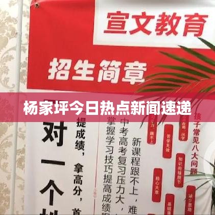 杨家坪今日热点新闻速递