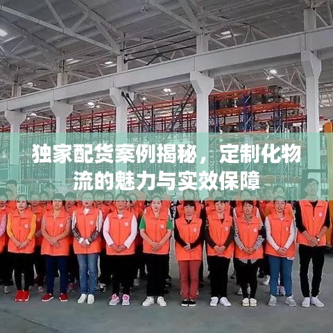 独家配货案例揭秘，定制化物流的魅力与实效保障