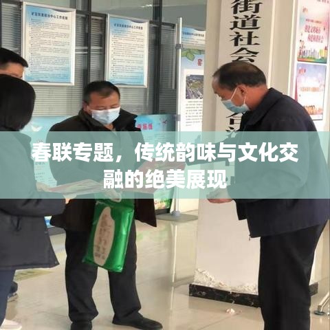 春联专题，传统韵味与文化交融的绝美展现