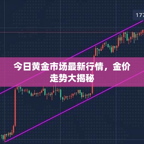 今日黄金市场最新行情，金价走势大揭秘