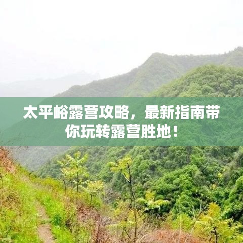 不知所云