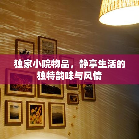独家小院物品，静享生活的独特韵味与风情