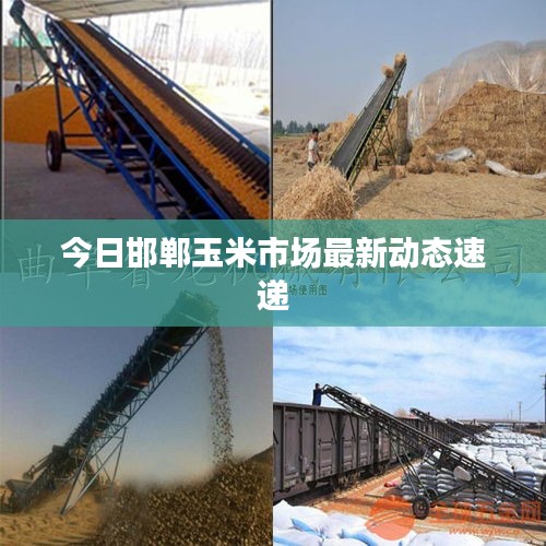 虫言鸟迹