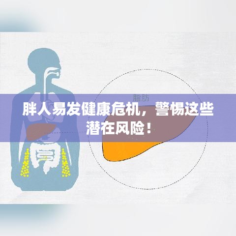胖人易发健康危机，警惕这些潜在风险！