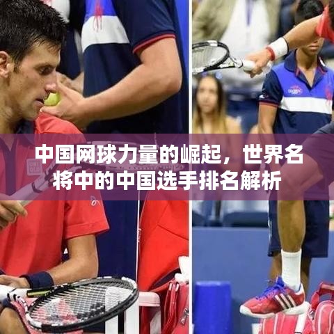 中国网球力量的崛起，世界名将中的中国选手排名解析
