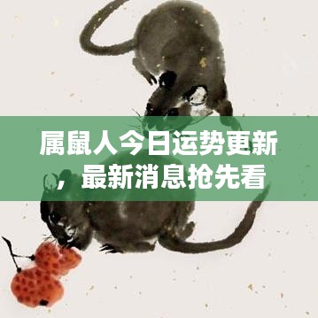 属鼠人今日运势更新，最新消息抢先看
