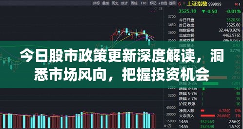 毛手毛脚