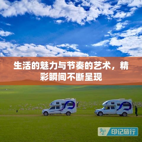 生活的魅力与节奏的艺术，精彩瞬间不断呈现