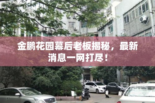 金鹏花园幕后老板揭秘，最新消息一网打尽！