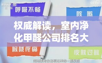 空谷幽兰