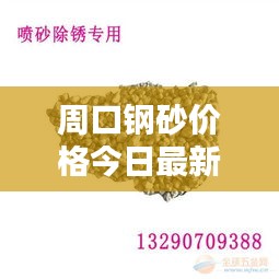 周口钢砂价格今日最新动态曝光！