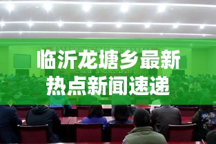 临沂龙塘乡最新热点新闻速递