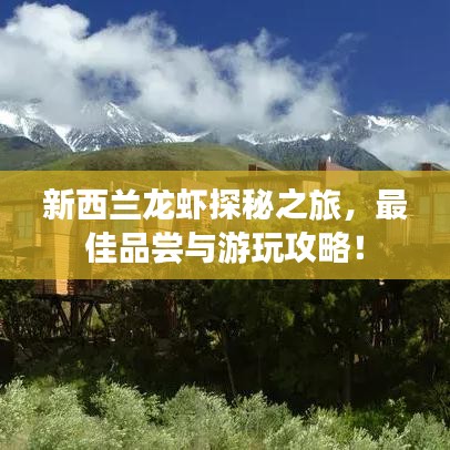 产品中心 第15页