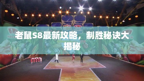 老鼠S8最新攻略，制胜秘诀大揭秘