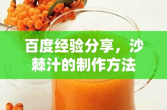 百度经验分享，沙棘汁的制作方法