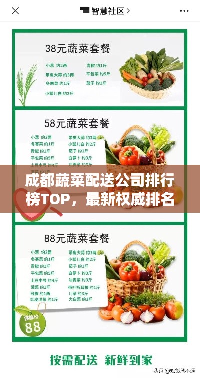 成都蔬菜配送公司排行榜TOP，最新权威排名一览
