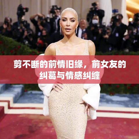客户评价 第12页