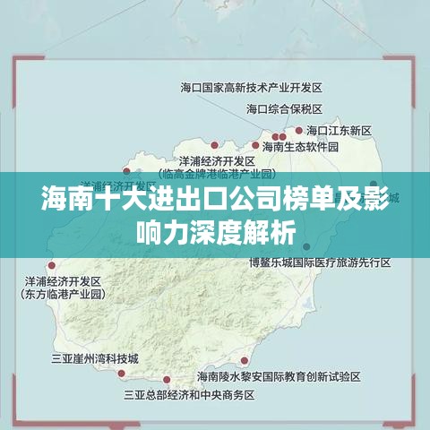 海南十大进出口公司榜单及影响力深度解析