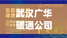 武汉广华暖通公司业界排名及超强影响力揭秘