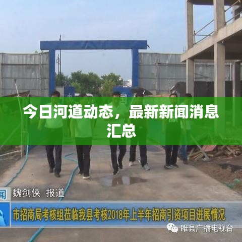 今日河道动态，最新新闻消息汇总