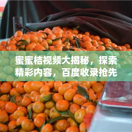 箪瓢陋巷