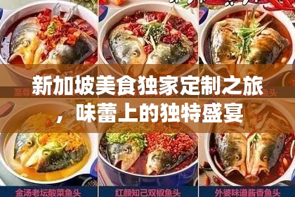 新加坡美食独家定制之旅，味蕾上的独特盛宴
