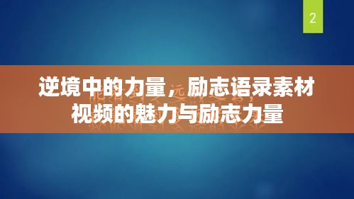 遍地开花