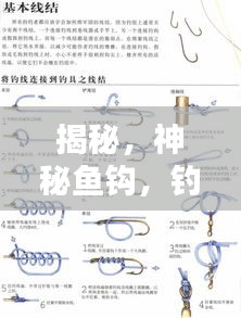揭秘，神秘鱼钩，钓鱼界的秘密武器——永不弯折的利器